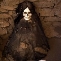 BARD_INCA1_001