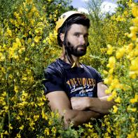 Les genêts Laurent Monlaü