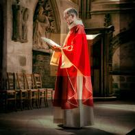 Sur les pas de nos pairs