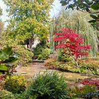  Sandrine Expilly_ DOMAINE DE COURANCES