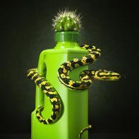 Embouteillages Ludovic Alussi