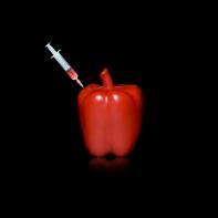 Santé Ludovic Alussi