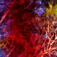 Insulaire, sur les traces de Saint-John Perse Sandrine Expilly