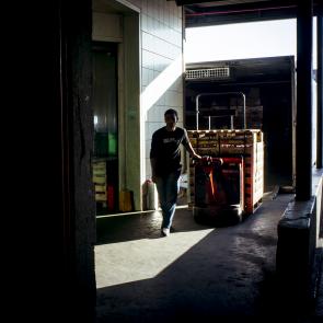 LEVILLAIN_RUNGIS_021