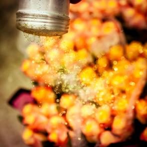 LEVILLAIN_RUNGIS_023