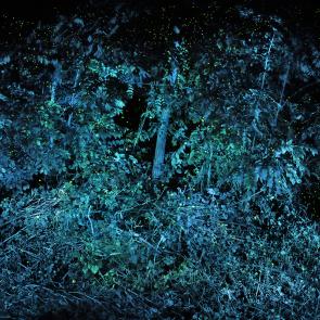 SEMENIAKO_LUCIOLES_006