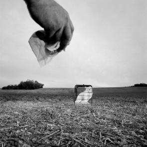 Drôles de zèbres Xavier Lambours