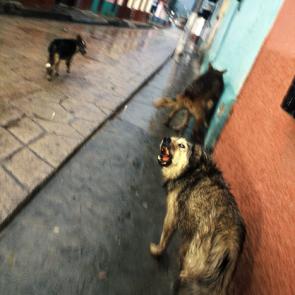 CHOQUER_HORS CHAMP_010