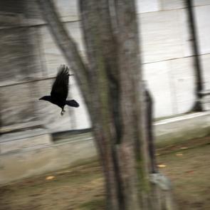 ACERBIS_LACHAISE_004