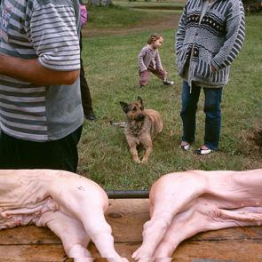 EROME_IRRELEVANCE_005