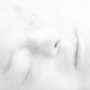 DEX_EXPOINFINE_016