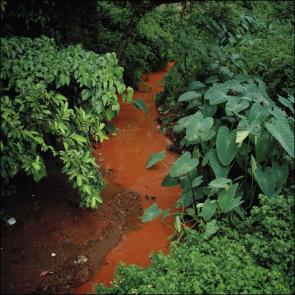 ROUSSELOT_ORISSA_018