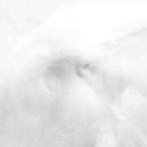 DEX_EXPOINFINE_020