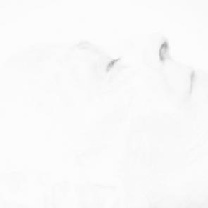 DEX_EXPOINFINE_024