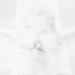 DEX_EXPOINFINE_028