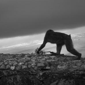 BRIGNON_EXPO_FREEDOORS_032