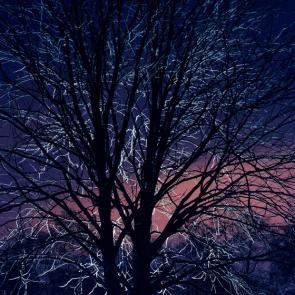 TEZENAS_PORTFOLIO_045