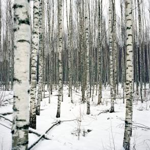 Jeremie Jung - Au large du temps, Setomaa, Estonie