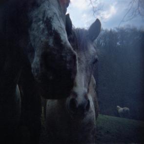 Based on a true story - Arno Brignon