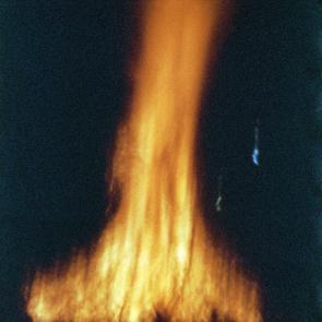 Based on a true story - Arno Brignon