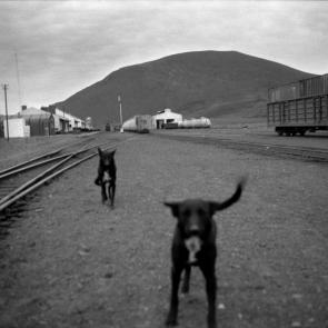 Un train de marchandises dans le désert d'Atacama au Chili, en 1998