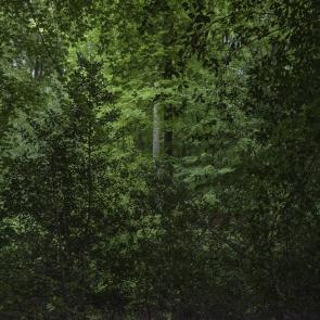 Promontoires du silence Didier Goupy