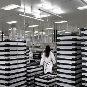 Reportage en entreprise Thierry Borredon