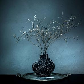 Still life Joanna Tarlet Gauteur