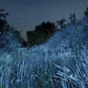 SEMENIAKO_LUCIOLES_003