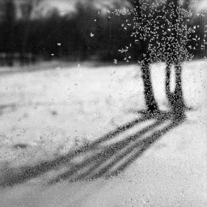 expo transsiberiens bard-009