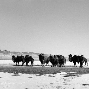 expo transsiberiens bard-039