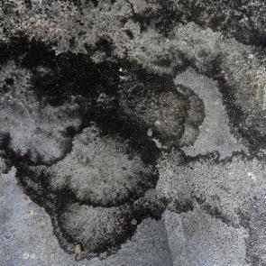 Déambulation dérogatoire Michel Séméniako