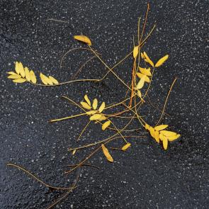 Déambulation dérogatoire Michel Séméniako