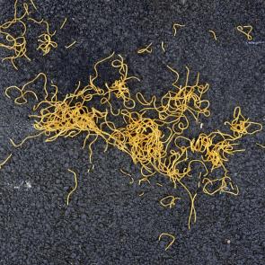 Déambulation dérogatoire Michel Séméniako