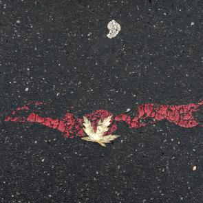 Déambulation dérogatoire Michel Séméniako