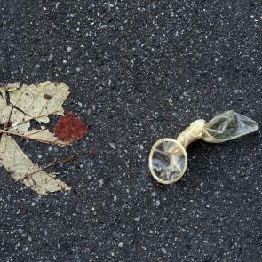 Déambulation dérogatoire Michel Séméniako