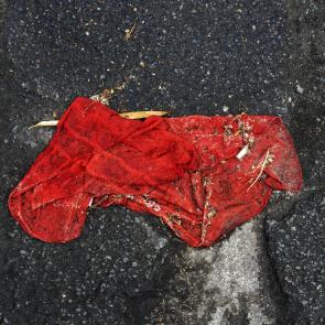 Déambulation dérogatoire Michel Séméniako