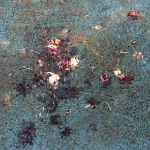 Déambulation dérogatoire Michel Séméniako