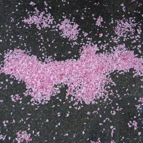 Déambulation dérogatoire Michel Séméniako