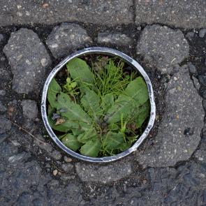 Déambulation dérogatoire Michel Séméniako