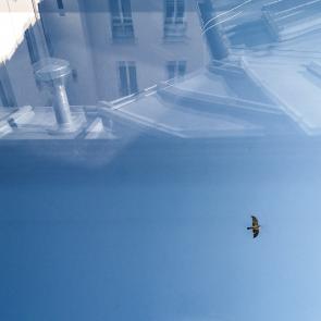 Vas is das Florence Levillain