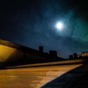 Vas is das Florence Levillain