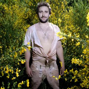 Les genêts Laurent Monlaü