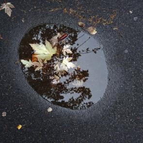 Déambulation dérogatoire Michel Séméniako