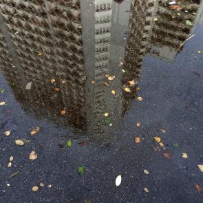 Déambulation dérogatoire Michel Séméniako