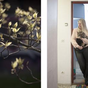 Au seuil du printemps Jérémie Jung