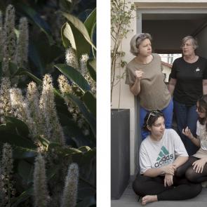 Au seuil du printemps Jérémie Jung