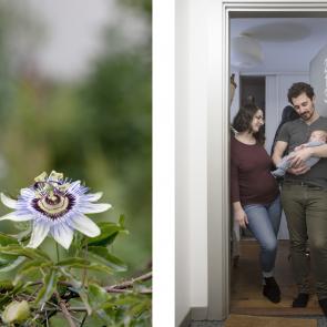 Au seuil du printemps Jérémie Jung