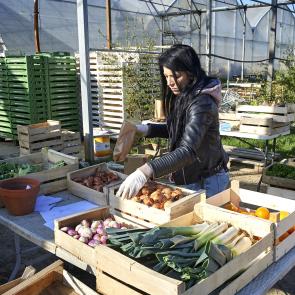 Rennes sous Covid, archives Thierry Pasquet