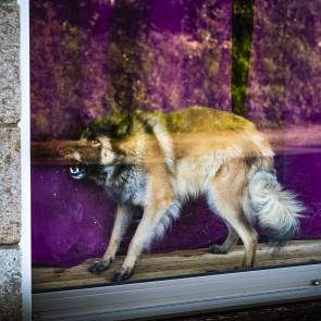 Goudelin chronique d'un village breton Bernard le Bars